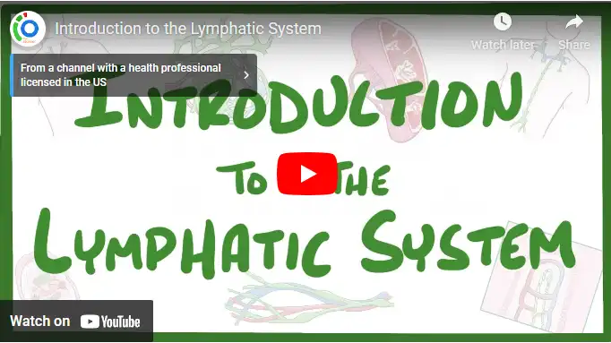 Lymphatic Drainage Meaning