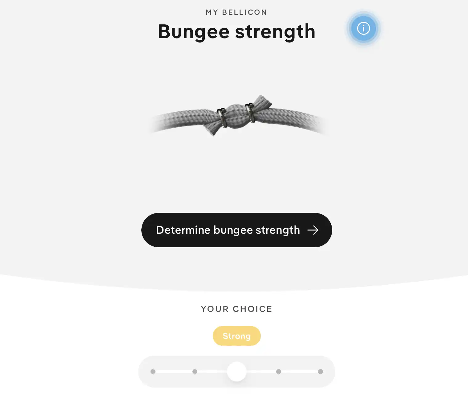 Bellicon Bungee Strength
