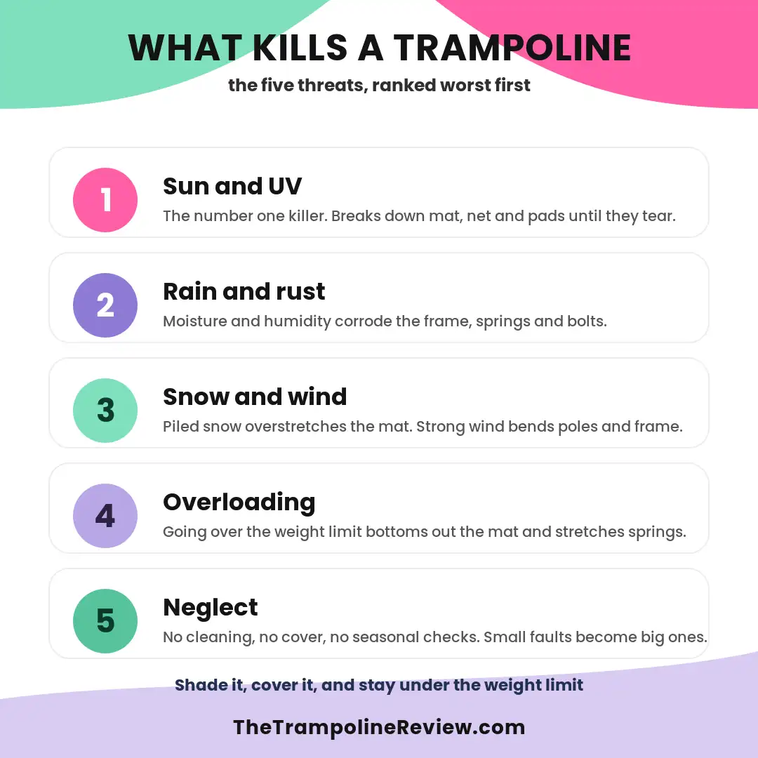 trampoline-what-kills-it-infographic Trampoline What Kills It Infographic