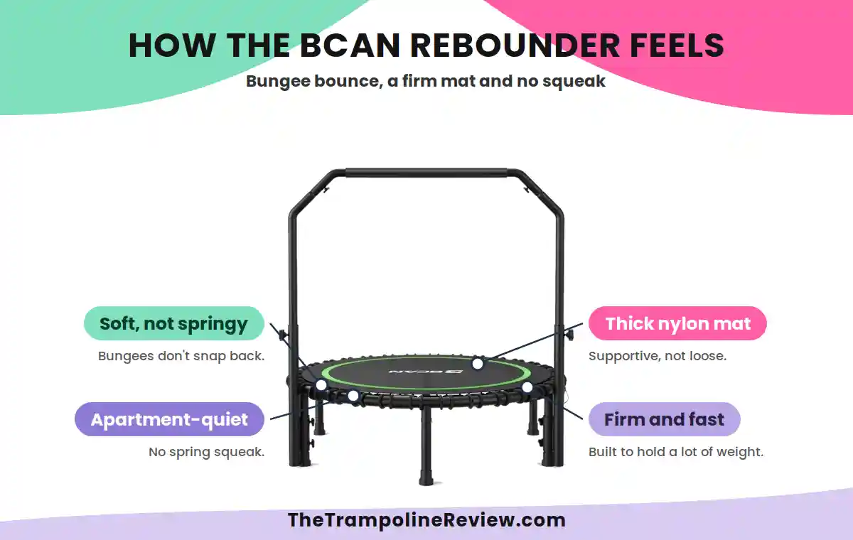 bcan-rebounder-infographic Bcan Rebounder Infographic